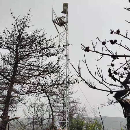 成功案例