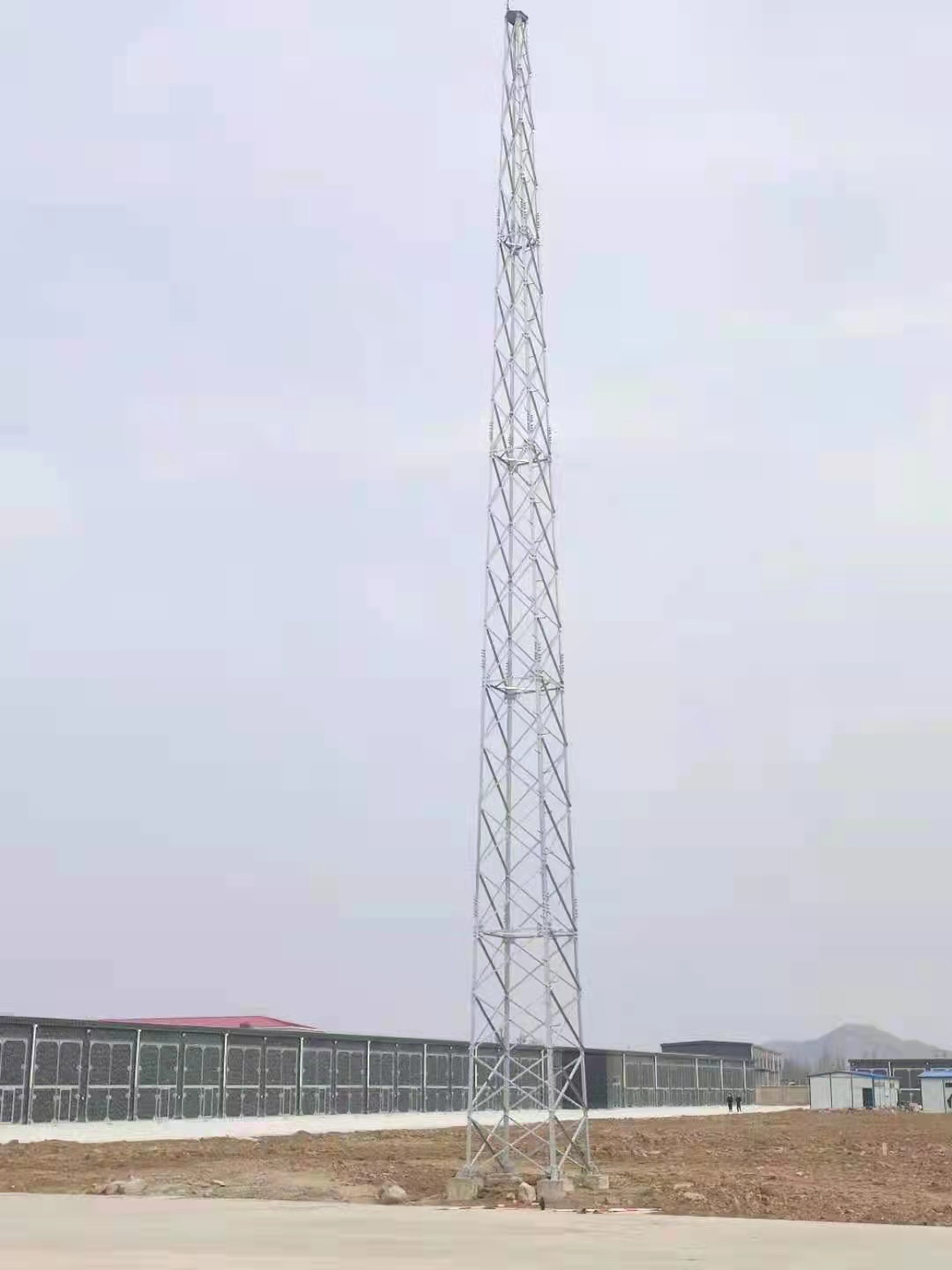 成功案例